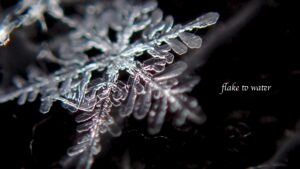Flake to water