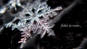 Flakes to water (various)
