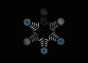 Snowflake Diatom Flowers