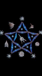 Microscopic Vega